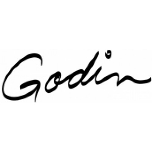 Прокат Godin