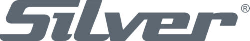 Прокат Silver